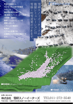 Page 1 せつな込命や財産を 守るには ヘ I * (株)雪研スノーイータース