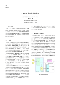 CERN夏の学校体験記 - 高エネルギー物理学研究者会議