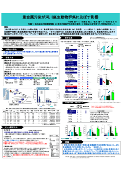 重金属汚染が河川底生動物群集に及ぼす影響