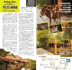 動物の約200種が フィリピンの固有種。