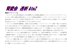透析とセロトニン① セロトニンとは人間の精神面に大きな影響を与える
