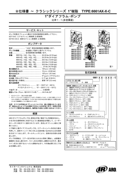 1 - タイヨーインタナショナル