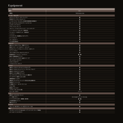 DS 3 PERFORMANCE Line EQUIPMENT