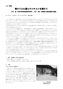 雪のうえに暮らすユキムシを探そう