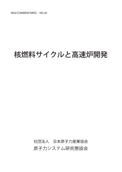 NSA commentaries No20