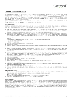 CareMed &ndash; 条件概略 2016/2017