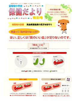 保健だより特別号 ～貧血検査結果の見方