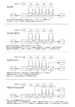 4LOOP 3LOOP+A/B 3LOOP+MUTE MUTE+A/B+2LOOP