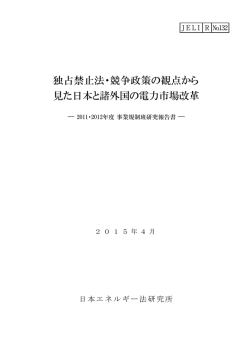 132 2011・2012年度 事業規制班研究報告書