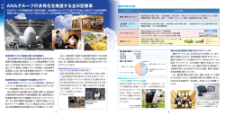 ANAグループの多角化を推進する全日空商事