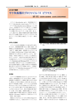 サケ科魚類のプロファイル