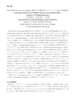 62.高度好熱菌 Thermus thermophilus HB27 株の機能
