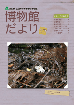 富山県 - 立山カルデラ砂防博物館