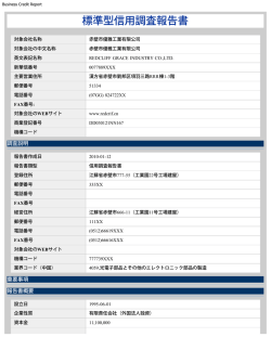 Business Credit Report