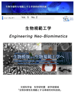 Full Download（18.8MB 圧縮しています）