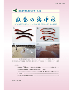 （平成19年10月発行）Oct. 2007（406KB）