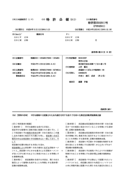 特許第3502911号