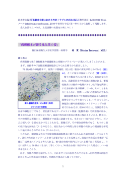 病理標本が語る性生活の姿