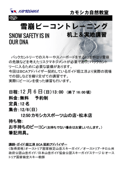 雪崩ビーコントレーニング