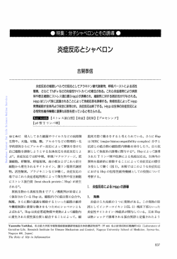 蛋白質核酸酵素:炎症反応とシャペロン