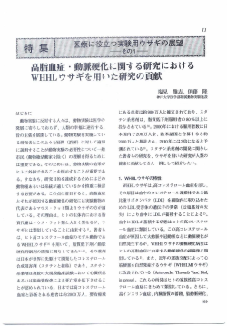 高脂血症・動脈硬化に関する研究における WHHLウサギを用いた研究の