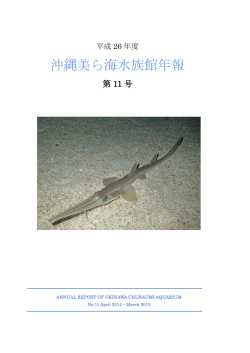 平成26年度 沖縄美ら海水族館年報 第11号