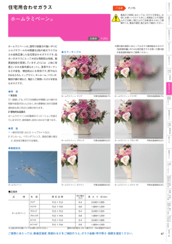 ホームラミペーン® 住宅用合わせガラス