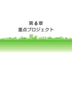 第 6 章 重点プロジェクト