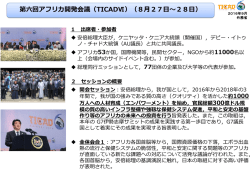 第六回アフリカ開発会議（TICADⅥ）（8月27日～28日）