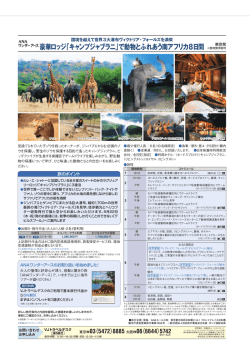 豪華ロッジ「キャンプジャブラニ」で動物とふれあう南アフリカ8