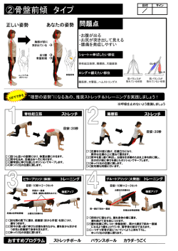 ②骨盤前傾 タイプ