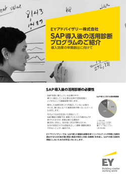 SAP導入後の活用診断 プログラムのご紹介