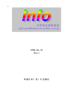 PDF ファイル