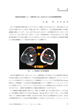 経皮的圧刺激によって筋肉内に生じる応力の3次元