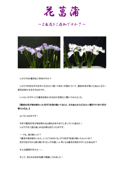 花菖蒲 ～2番花をご存知ですか？