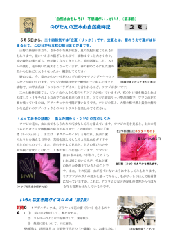 のびたんの三木山自然歳時記 「 立 夏 」