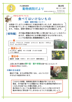 食べてはいけないもの ～植物・薬物中毒について