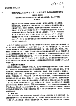 渤海湾地区におけるコオバシギの渡り動態の基礎的研究