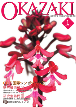 OKAZAKI 06