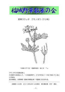 13/04/14 - 稲城野草散策の会