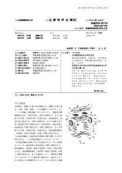電動立ち乗り車 は - CHIC