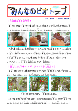 【不思議な虫を大発見！】 朝、ビオトープのまわりを歩いていたら葉っぱが