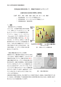 天然由来の原料を用いて、黒髪が本来持つメラニンで 白髪を染める技術