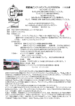琵琶湖ピンクリボンフェスタ2006 in大津