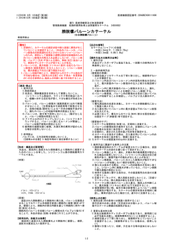 膀胱瘻バルーンカテーテル - 富士システムズ株式会社