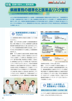 病棟業務の標準化と医薬品リスク管理(Vol.95)