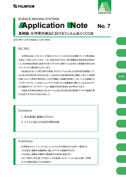NO.7：基礎編