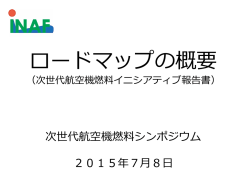 ロードマップの概要（飯塚氏）