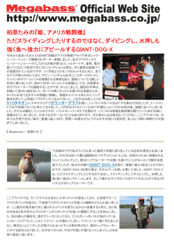 ただスライディングしたりするのではなく、ダイビングし