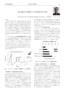 食品・栄養成分と生体概日リズムの相互作用に関する